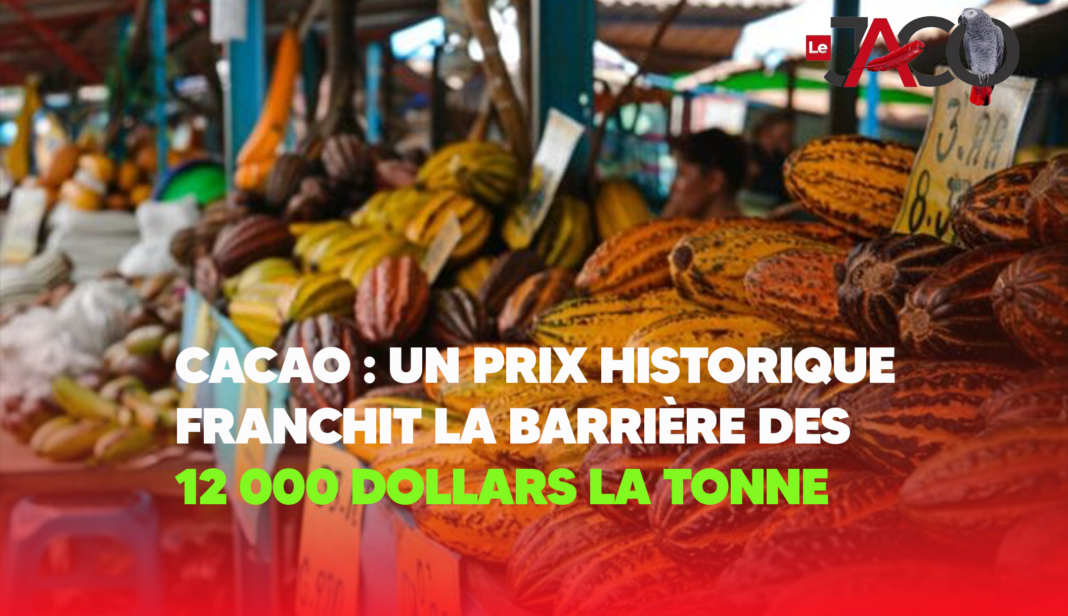 Cacao : Un Prix Historique Franchit la Barrière des 12 000 Dollars la Tonne