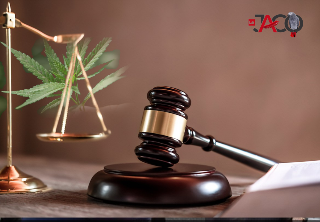 Gabon : La dépénalisation du cannabis, une réforme nécessaire ou un risque calculé ?