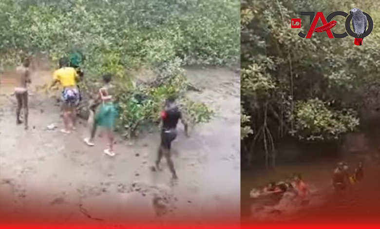 « École buissonnière à Libreville : des élèves du primaire s’aventurent hors des classes »