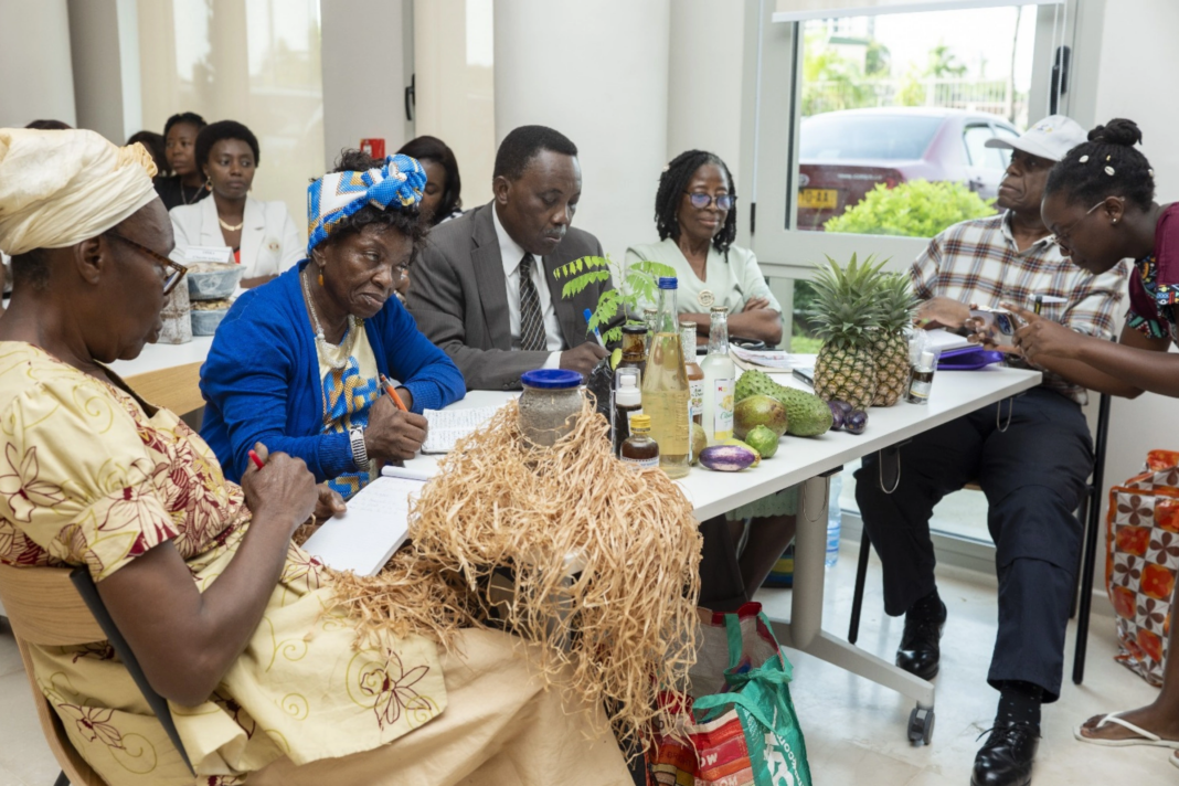 Cosmétopée et traditions : un projet pour valoriser le savoir-faire des femmes gabonaises