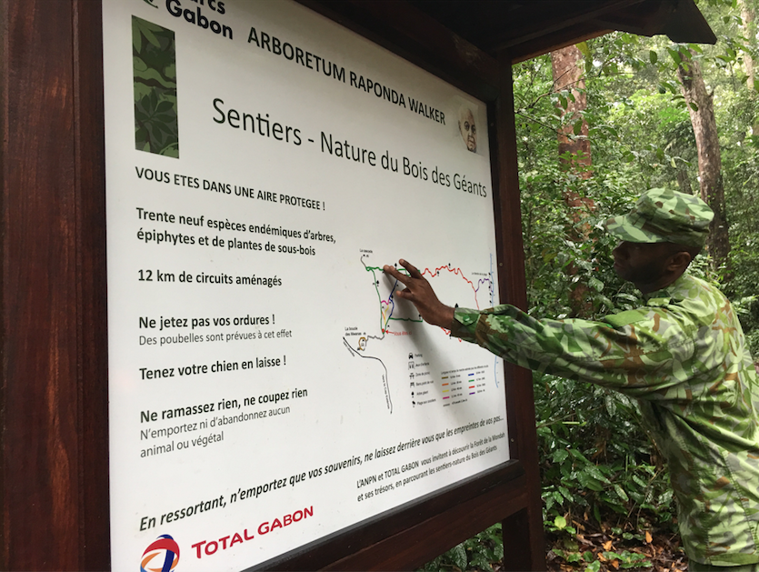 Gabon : L’ANPN alerte sur les ventes illégales de terrains à l’Arboretum Raponda Walker
