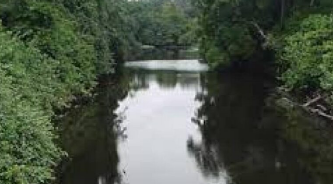 Woleu-Ntem : La rivière Kyè livrée aux exploitants d’or expatriés