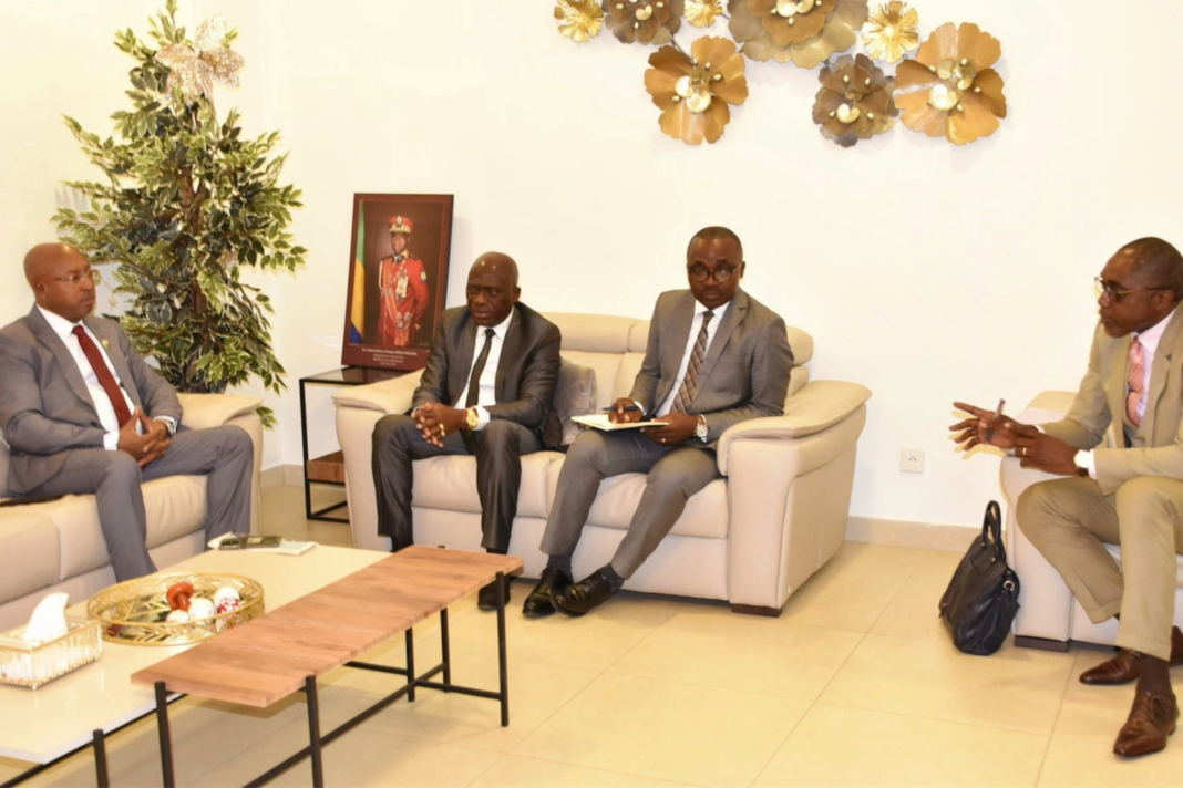 Éliminatoires du CHAN : les Panthères sauvées de justesse !